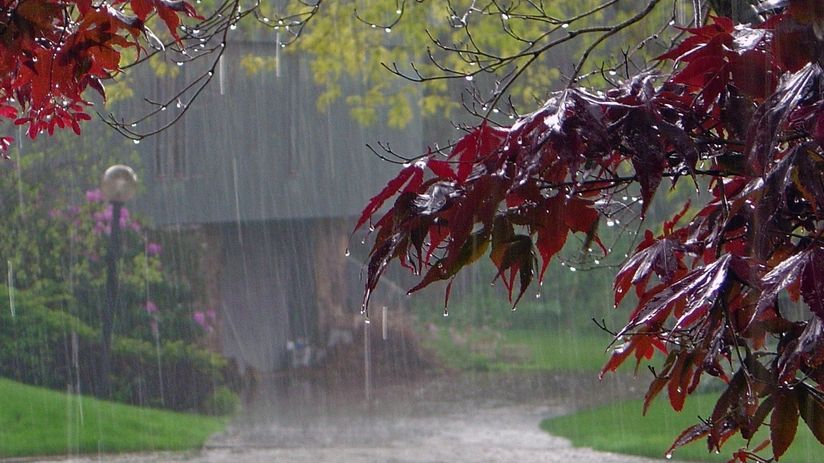 Sabah Bakı və Abşeronda leysan yağacaq